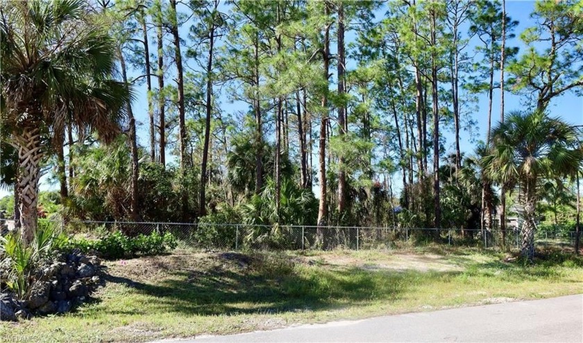 Stunning 2.27-Acre Lot in Golden Gate Estates - Prime Location!
 - Beach Lot for sale in Naples, Florida on Beachhouse.com