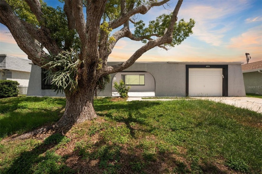 Seller will help with closing Costs! Move-in ready waterfront - Beach Home for sale in New Port Richey, Florida on Beachhouse.com