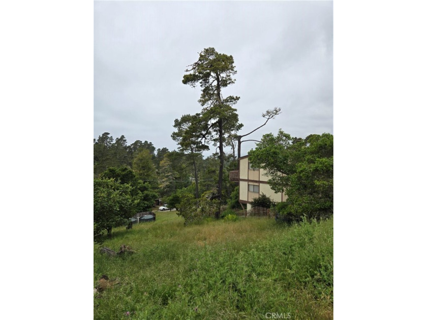 #301 on CCSD water list. Beautiful double lot with easy - Beach Lot for sale in Cambria, California on Beachhouse.com