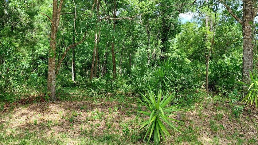 1 Acre of blank canvas and open opportunities awaits you - Beach Lot for sale in New Port Richey, Florida on Beachhouse.com