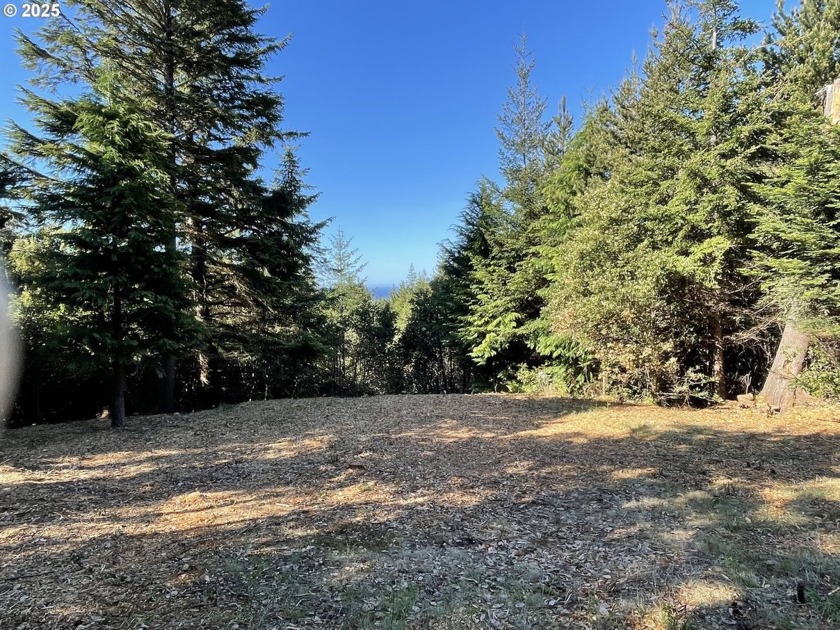 Discover the perfect blend of seclusion and scenic beauty with - Beach Lot for sale in Port Orford, Oregon on Beachhouse.com
