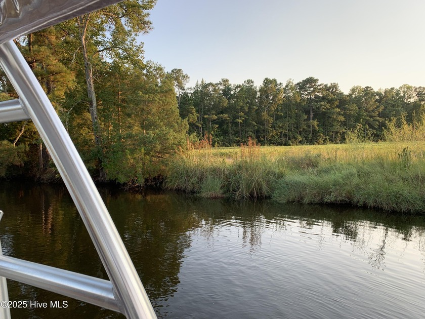 This 87.5 Acre tract of land is an excellent opportunity for - Beach Acreage for sale in Bayboro, North Carolina on Beachhouse.com