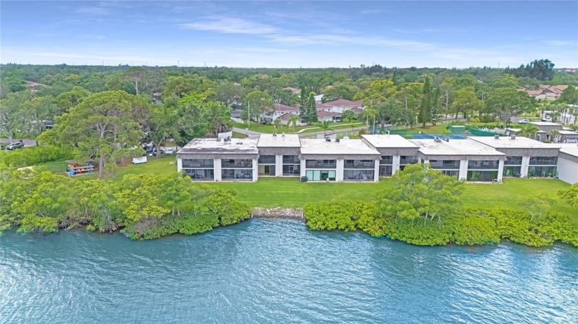 Breathtaking Waterfront Townhome with Direct Tampa Bay Views - - Beach Condo for sale in Clearwater, Florida on Beachhouse.com