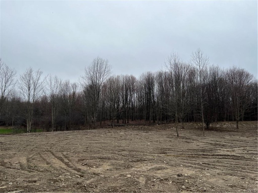 Here's a hard to find village lot in a highly sought after - Beach Lot for sale in Pulaski, New York on Beachhouse.com