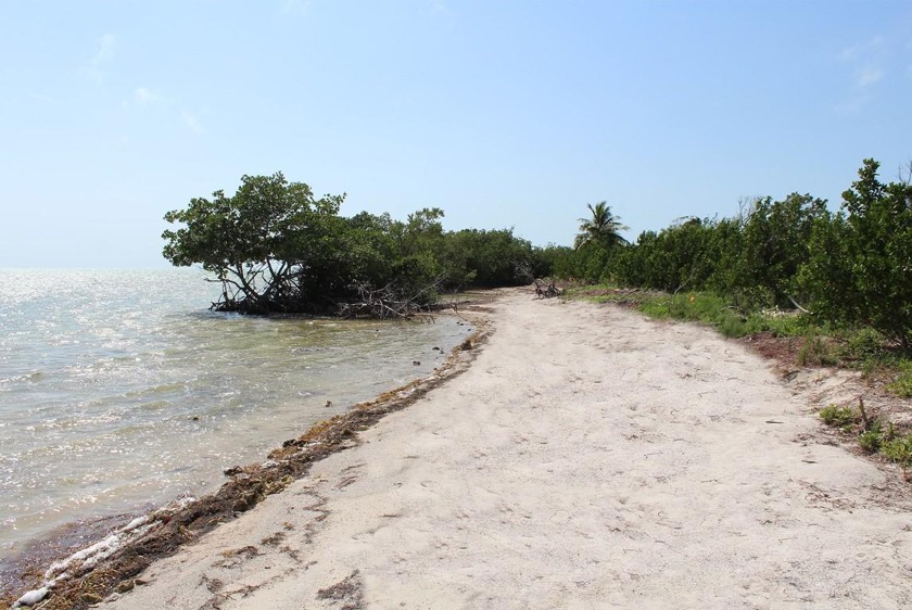 One of the last remaining large residential parcels of open - Beach Lot for sale in Upper Matecumbe Key, Florida on Beachhouse.com