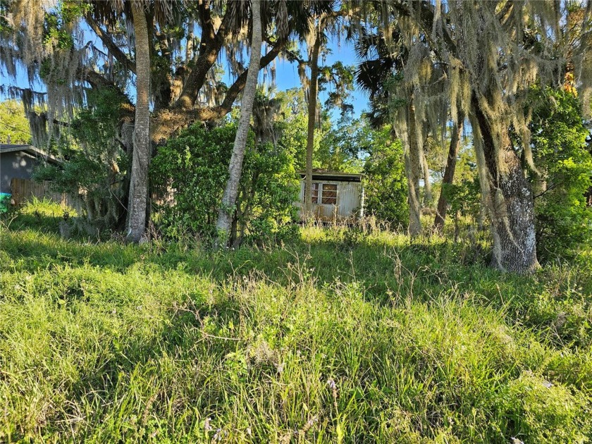 This property is located .3 miles from Bull Creek and Bull Creek - Beach Home for sale in Bunnell, Florida on Beachhouse.com
