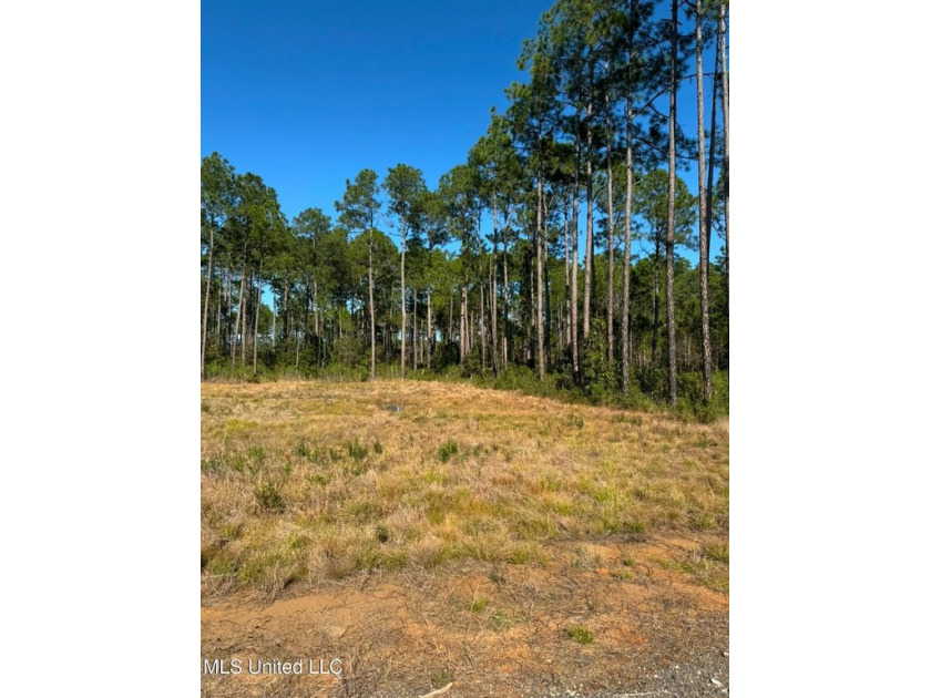 Prime location at an unbeatable price! This spacious vacant lot - Beach Lot for sale in Ocean Springs, Mississippi on Beachhouse.com