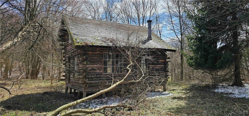 This log cabin on 10 acres is located in Sempronius NY, Cayuga - Beach Acreage for sale in Sempronius, New York on Beachhouse.com