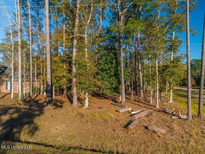 Partially Wooded Lot with 92 feet of road frontage and amazing - Beach Lot for sale in Diamondhead, Mississippi on Beachhouse.com