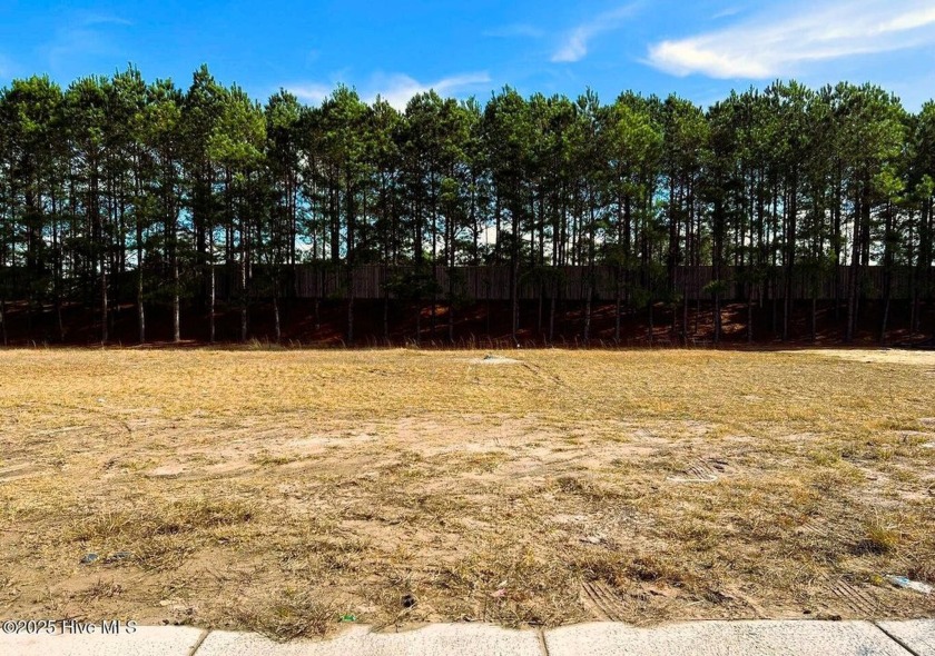 Don't miss your chance to build your dream home on this - Beach Lot for sale in Leland, North Carolina on Beachhouse.com