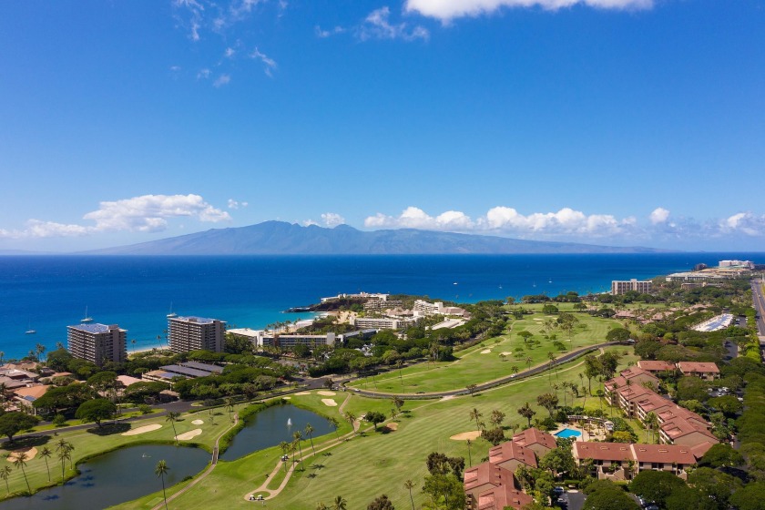 Kaanapali is a highly desirable vacation spot on the island of - Beach Condo for sale in Lahaina, Hawaii on Beachhouse.com