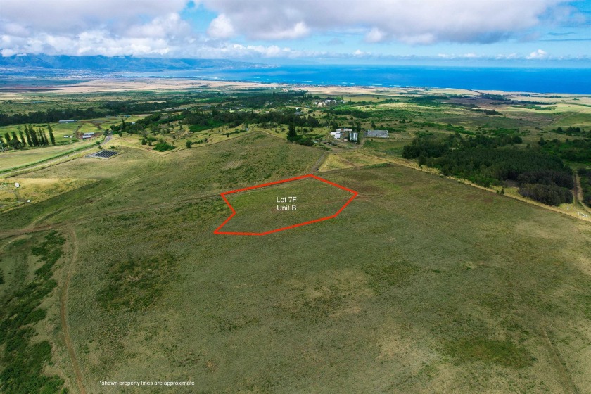 This Ag zoned 3.9 Acre CPR lot is the cottage (B) portion of lot - Beach Acreage for sale in Makawao, Hawaii on Beachhouse.com