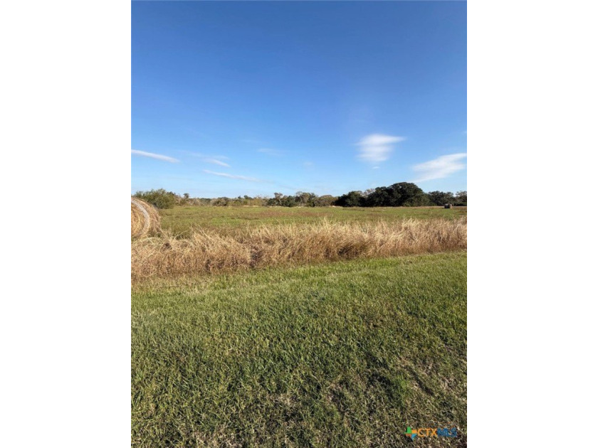 Discover the beauty of riverfront living on this 1.5-acre - Beach Lot for sale in Blessing, Texas on Beachhouse.com