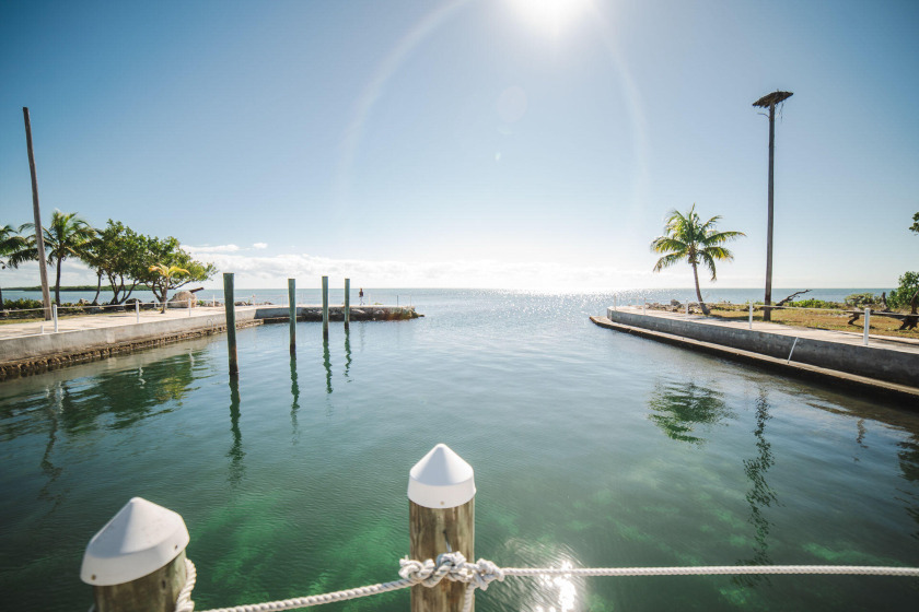 Beautiful adjoining oceanfront gated estates available - Beach Home for sale in Key Largo, Florida on Beachhouse.com