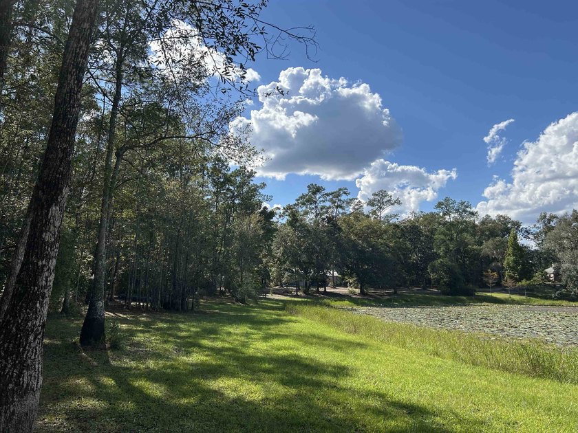 Nice buildable lot on Mary Lake! Beautiful wooded, partially - Beach Acreage for sale in Tallahassee, Florida on Beachhouse.com