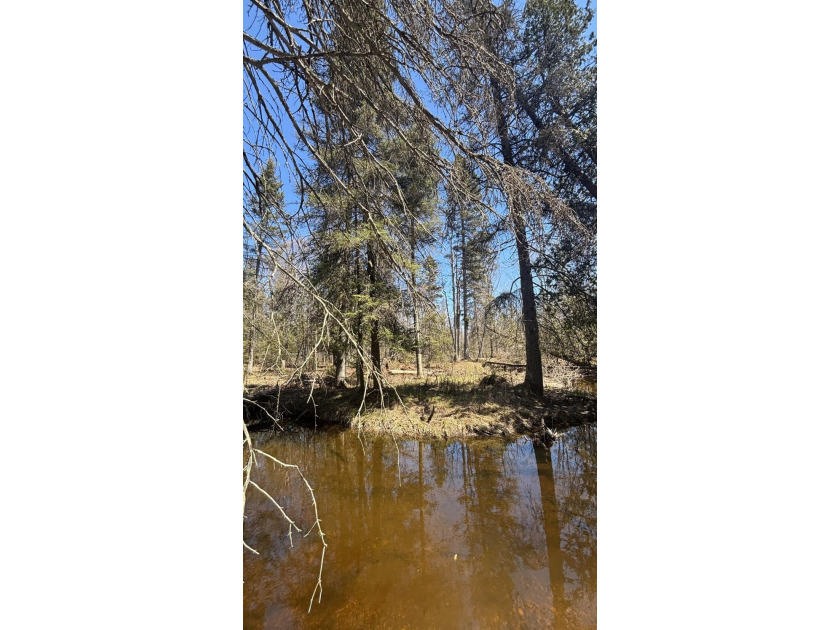 Discover the perfect blend of nature and convenience with this - Beach Lot for sale in Cedarville, Michigan on Beachhouse.com