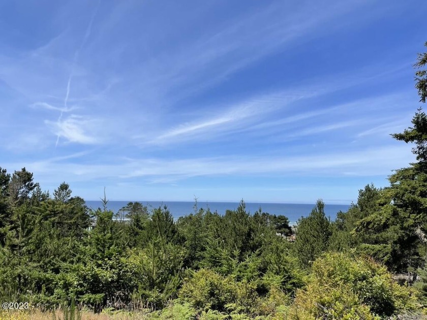 Amazing Views! Imagine enjoying the sunset over the ocean and a - Beach Acreage for sale in Waldport, Oregon on Beachhouse.com
