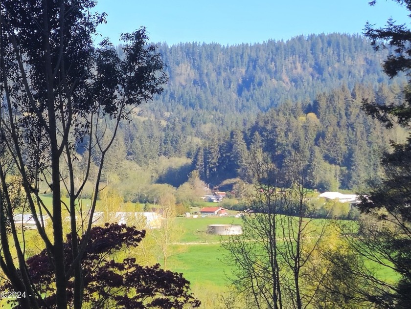 Enjoy serene valley views with the Nestucca River flowing - Beach Lot for sale in Cloverdale, Oregon on Beachhouse.com