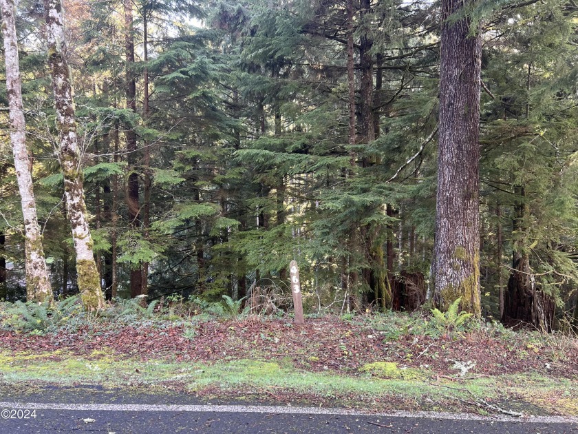 This large .35 acre property is located in the desirable gated - Beach Lot for sale in Lincoln City, Oregon on Beachhouse.com