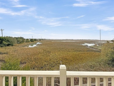 Beach Home For Sale in Charleston, South Carolina