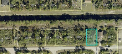 Beach Lot For Sale in Lehigh Acres, Florida