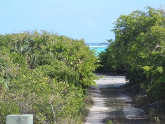 Beach Lot Off Market in Whitby, North Caicos