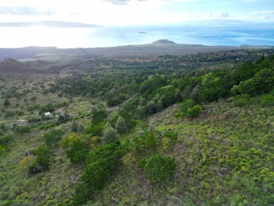 Beach Acreage Sale Pending in Kula, Hawaii