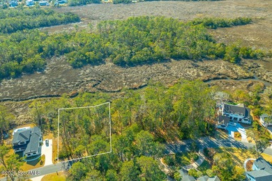 Beach Lot For Sale in Saint Simons, Georgia