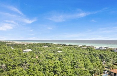 Beach Condo For Sale in Miramar Beach, Florida