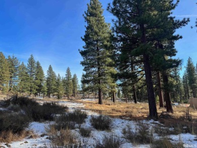 Beach Lot For Sale in Carson City, Nevada