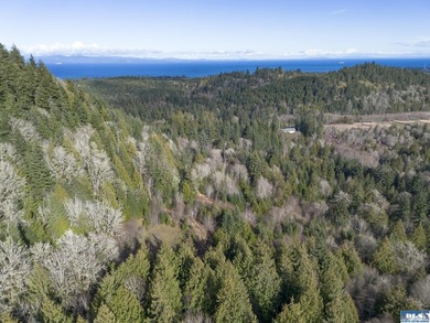 Beach Acreage For Sale in Port Angeles, Washington