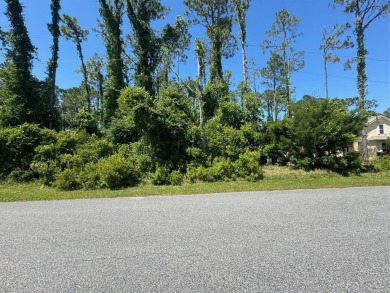 Beach Lot For Sale in Palm Coast, Florida