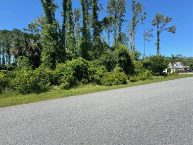 Beach Lot For Sale in Palm Coast, Florida