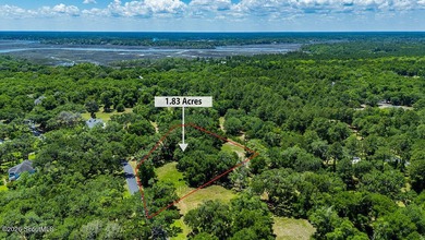 Beach Lot For Sale in Townsend, Georgia
