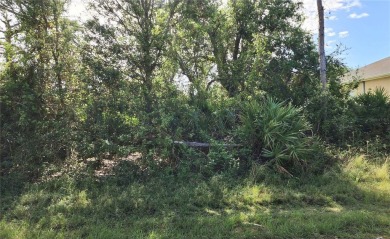 Beach Lot For Sale in Port Charlotte, Florida