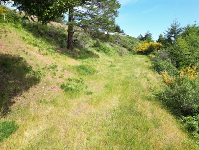 Beach Lot For Sale in Brookings, Oregon