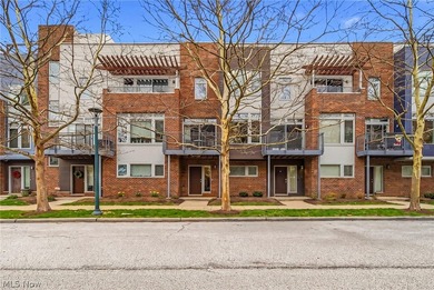 Beach Condo For Sale in Cleveland, Ohio
