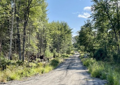 Beach Lot Sale Pending in Surry, Maine