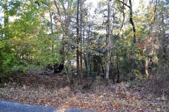 Beach Lot Off Market in Heathsville, Virginia