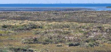 Beach Lot For Sale in South Padre Island, Texas