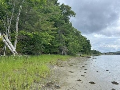 Beach Acreage For Sale in Hancock, Maine