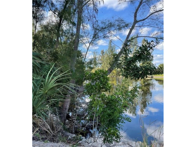 Beach Lot For Sale in Cape Coral, Florida