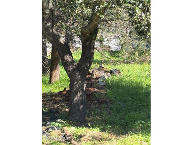 Beach Lot For Sale in Cambria, California