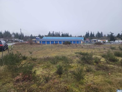 Beach Commercial For Sale in Port Angeles, Washington