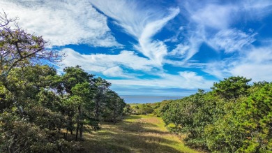 Beach Acreage For Sale in Edgartown, Massachusetts