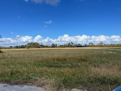 Beach Lot For Sale in Placida, Florida