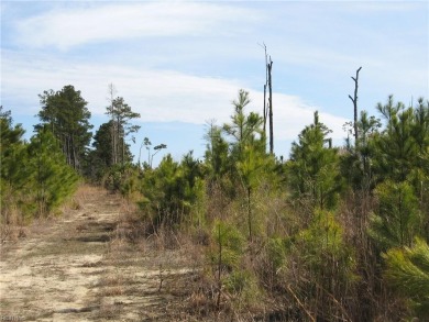 Beach Acreage For Sale in Barco, North Carolina