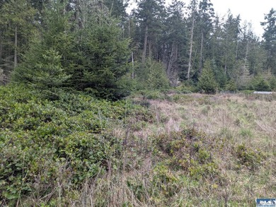 Beach Lot For Sale in Sequim, Washington
