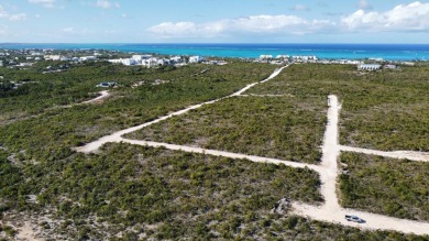 Beach Lot Off Market in Providenciales, West Caicos, Turks and Caicos Islands