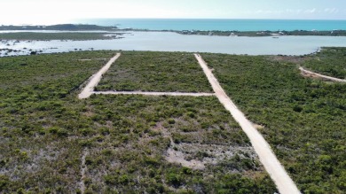 Beach Lot Off Market in Providenciales, West Caicos, Turks and Caicos Islands